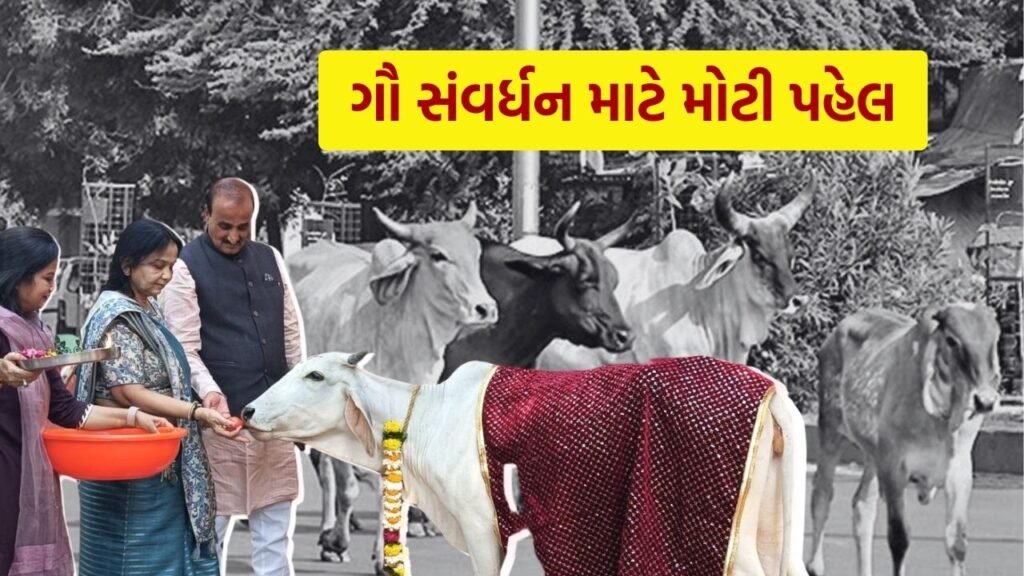 unique initiative for cow protection in navsari