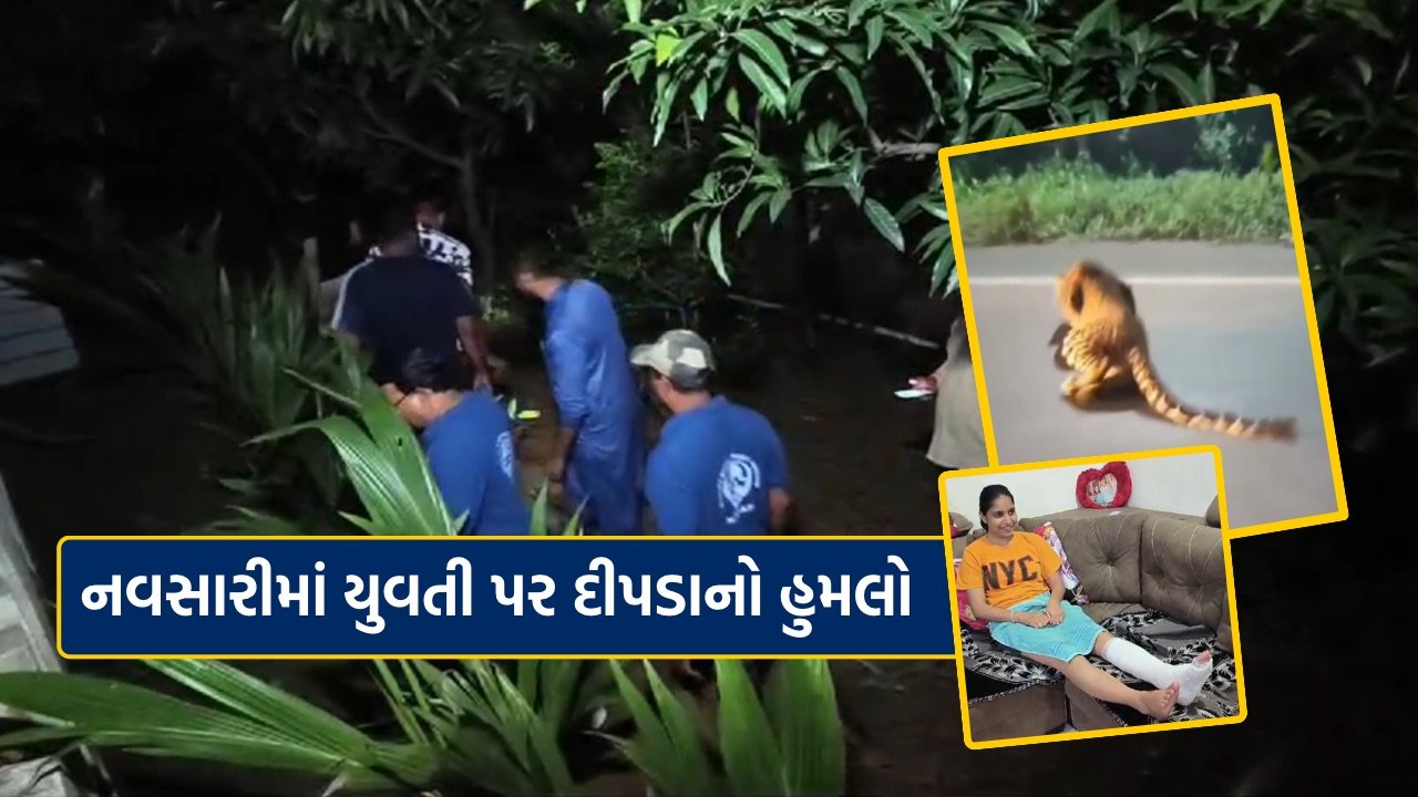 leopard attacked on girl in Navsari Nasilpore village