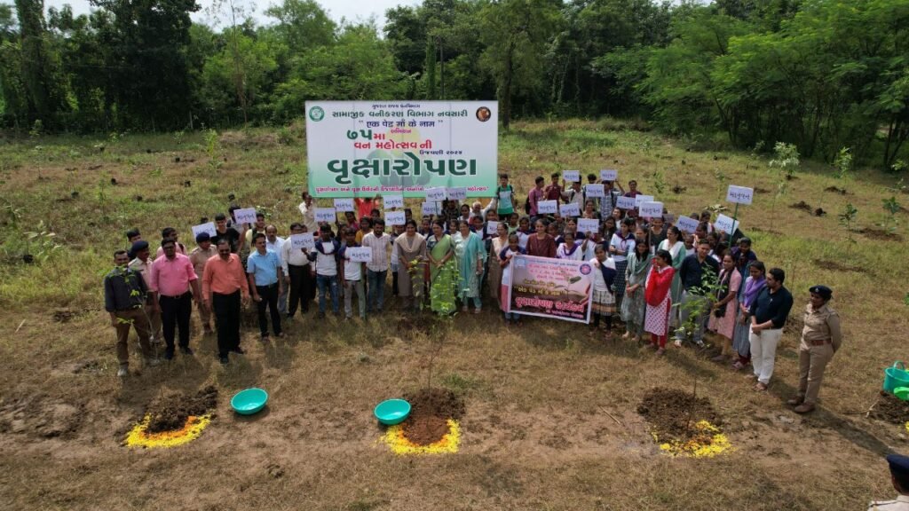 Navsari saplings distribution photos forest department