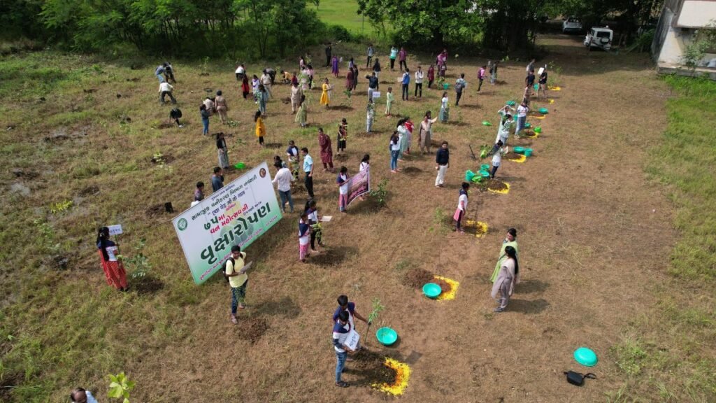 Navsari saplings distribution photos forest department