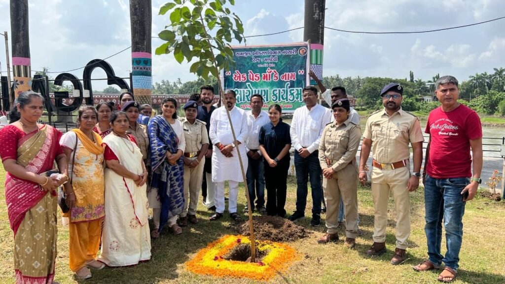 Navsari saplings distribution photos forest department