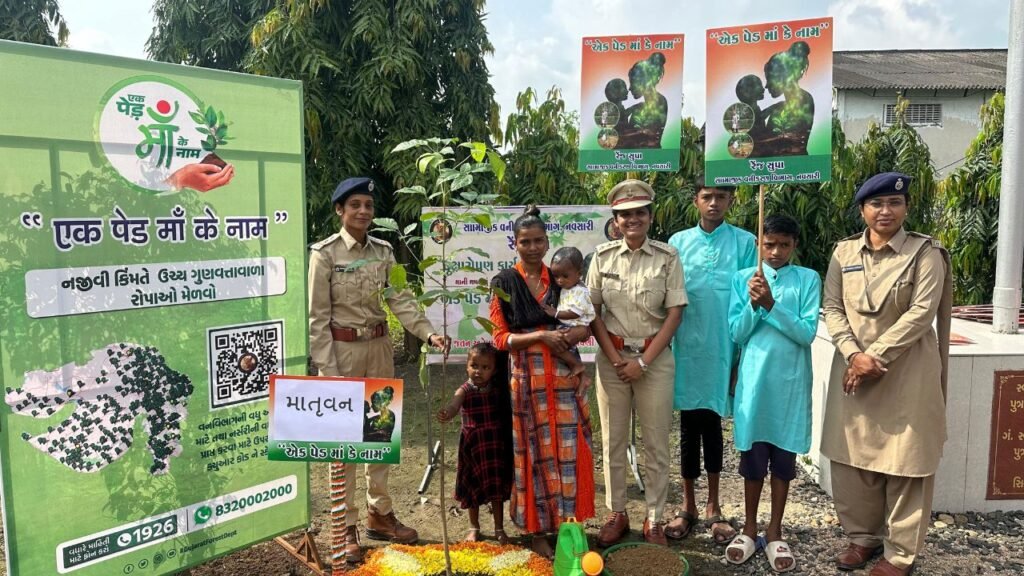 Navsari saplings distribution photos forest department