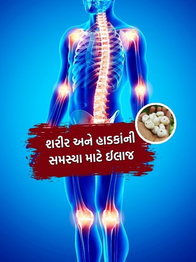 નાની ઉંમરે હાડકાંના સાંધા માંથી આવે છે ખટ ખટ અવાજ! આ ડ્રાયફ્રુટ ખાવાનું શરૂ કરો