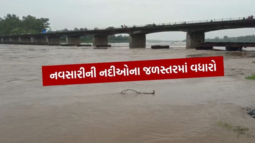 /navsari-flood-situation-sdrf-action-2025